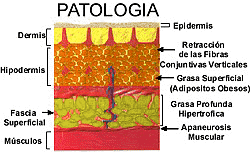 Patologia